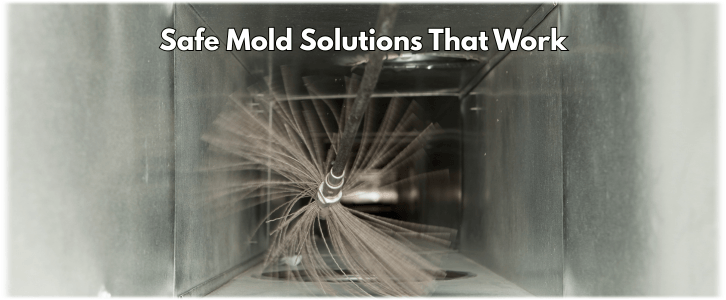 Air Duct Mold Removal in Morristown NJ