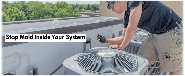 HVAC Mold Removal Morristown NJ